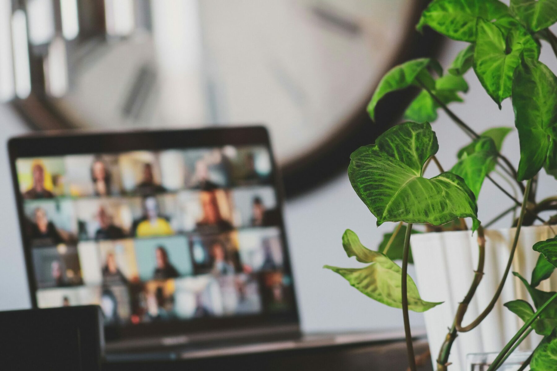 Microsoft teams